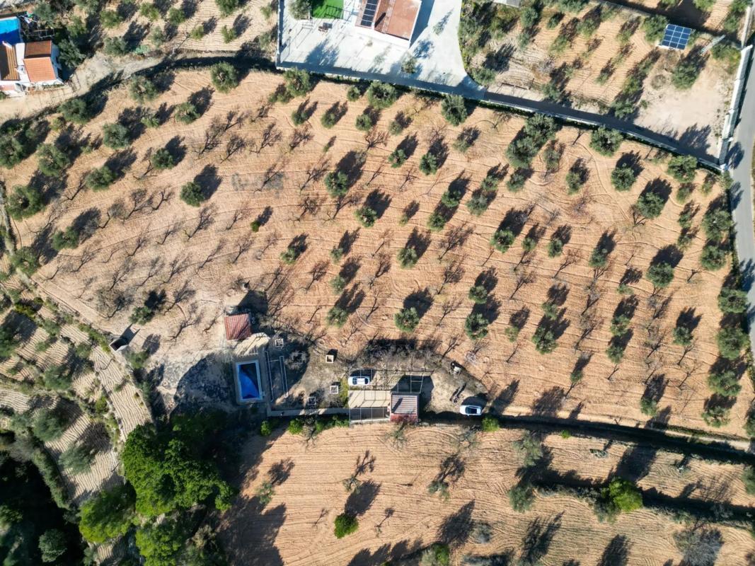 Terreno en venta en Ibi, Alicante photo 4