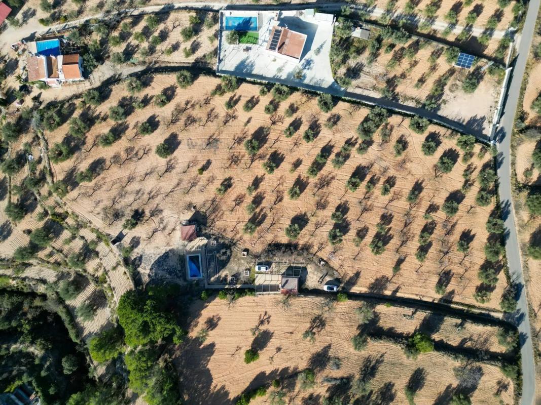 Terreno en venta en Ibi, Alicante photo 5