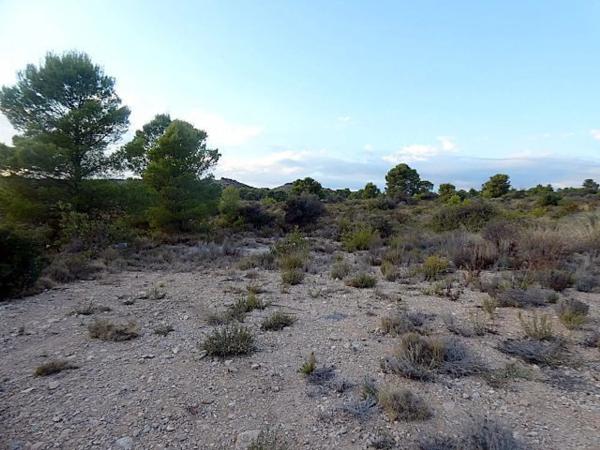 Terreno en via Pista photo 4