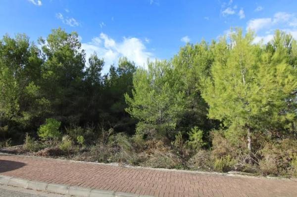 Terreno en Partida Comunes-Adsubia photo