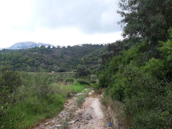 Terreno en avenida Monte Pego-Dénia photo 1