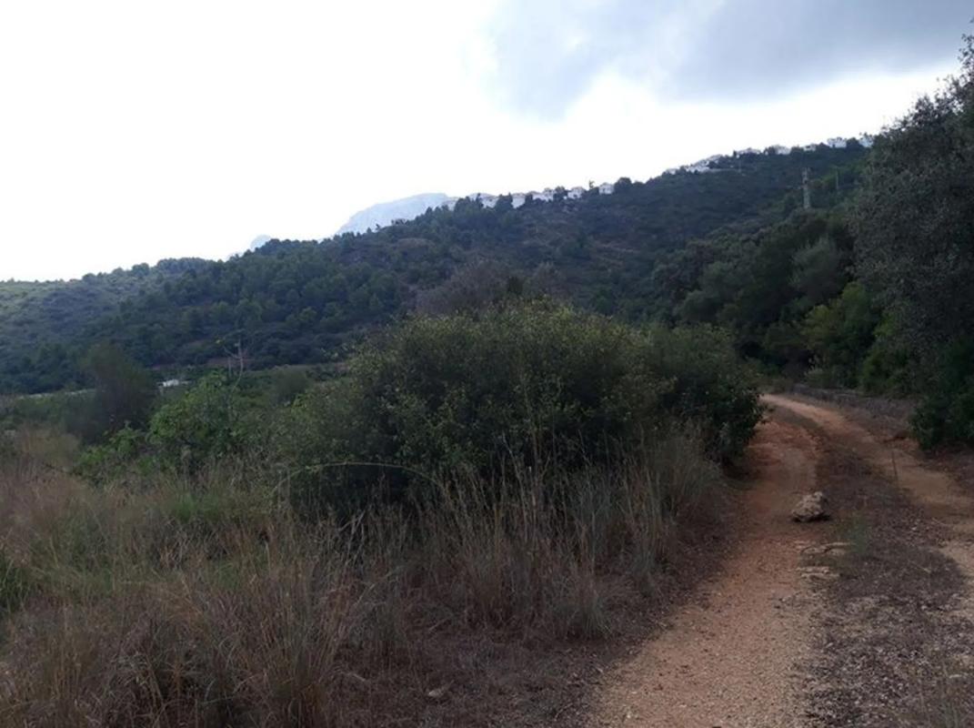 Land for sale in Denia, Alicante photo 2