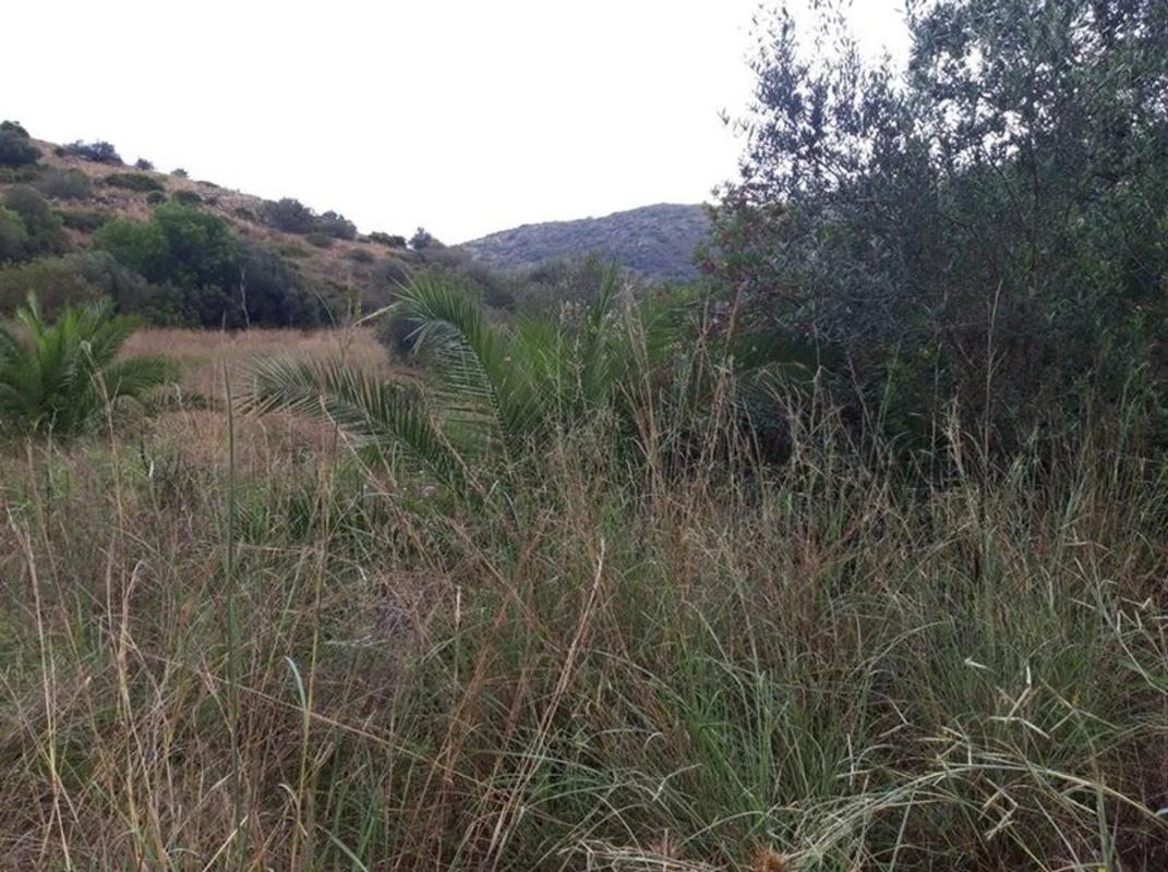 Land for sale in Denia, Alicante photo 3