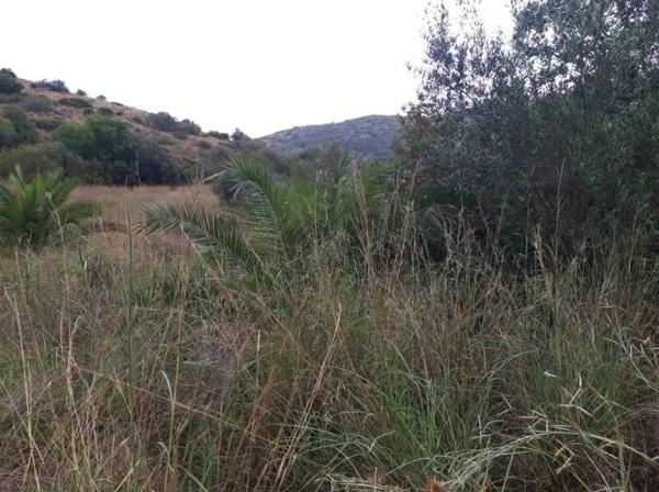 Terreno en avenida Monte Pego-Dénia thumbnail 2