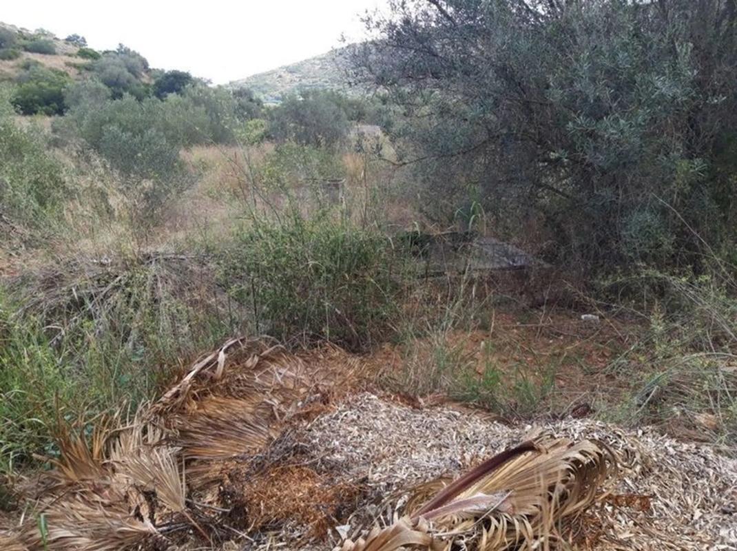 Land for sale in Denia, Alicante photo 4