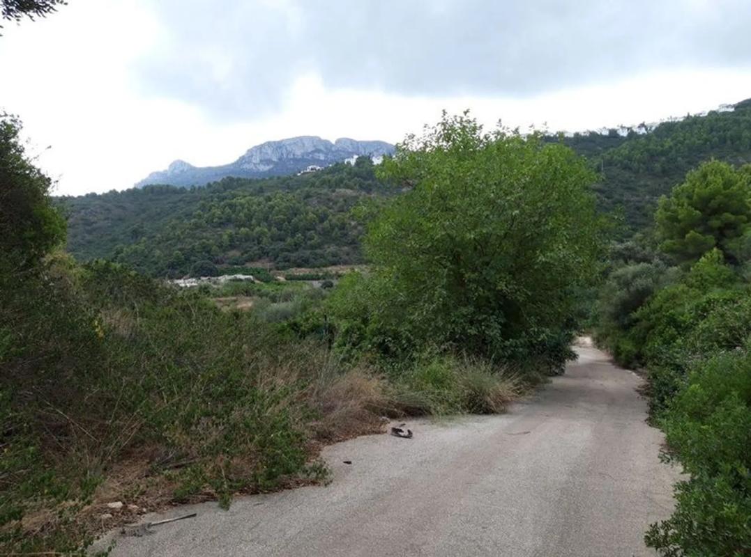 Land for sale in Denia, Alicante photo 5