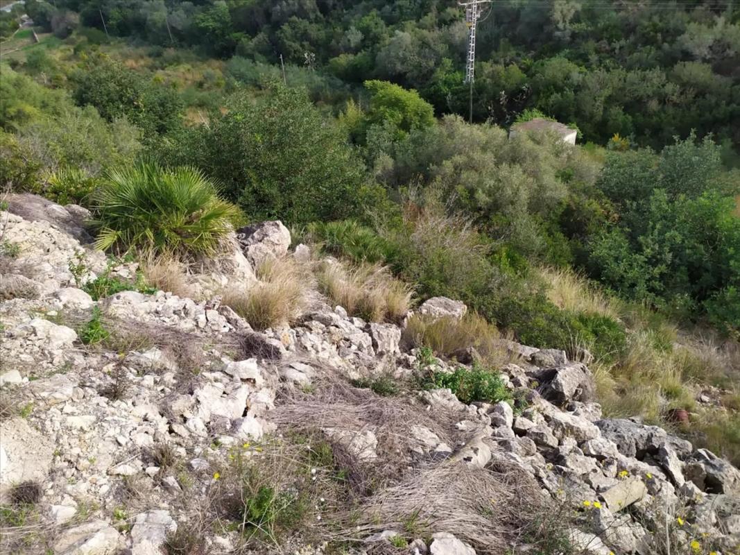 Działka na sprzedaż w Dénia, Alicante photo 3