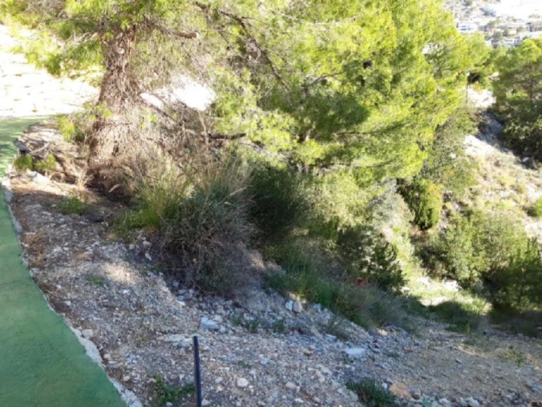 Land for sale in Altea, Alicante photo 2