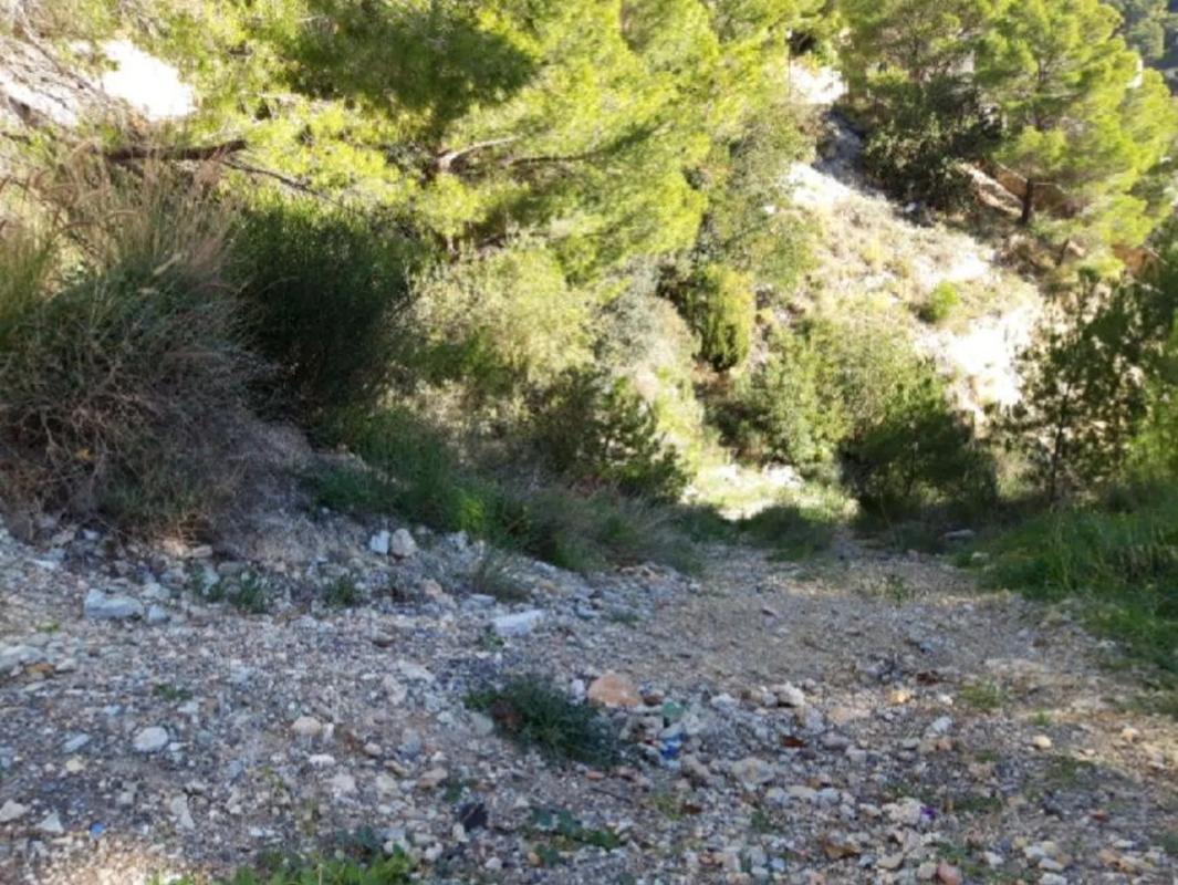 Land for sale in Altea, Alicante photo 4