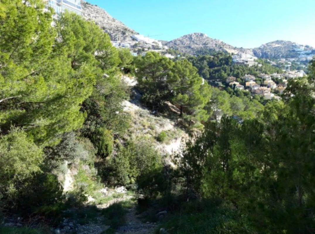 Land for sale in Altea, Alicante photo 5