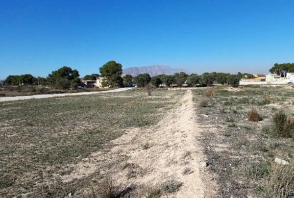 Terreno en Monforte del Cid photo 1