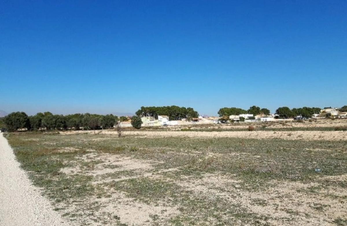 Terreno en venta en Monforte del Cid, Alicante photo 2