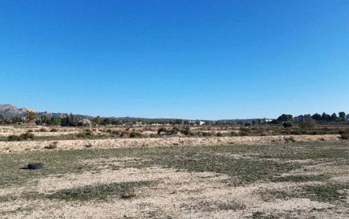 Terreno en venta en Monforte del Cid, Alicante photo 3