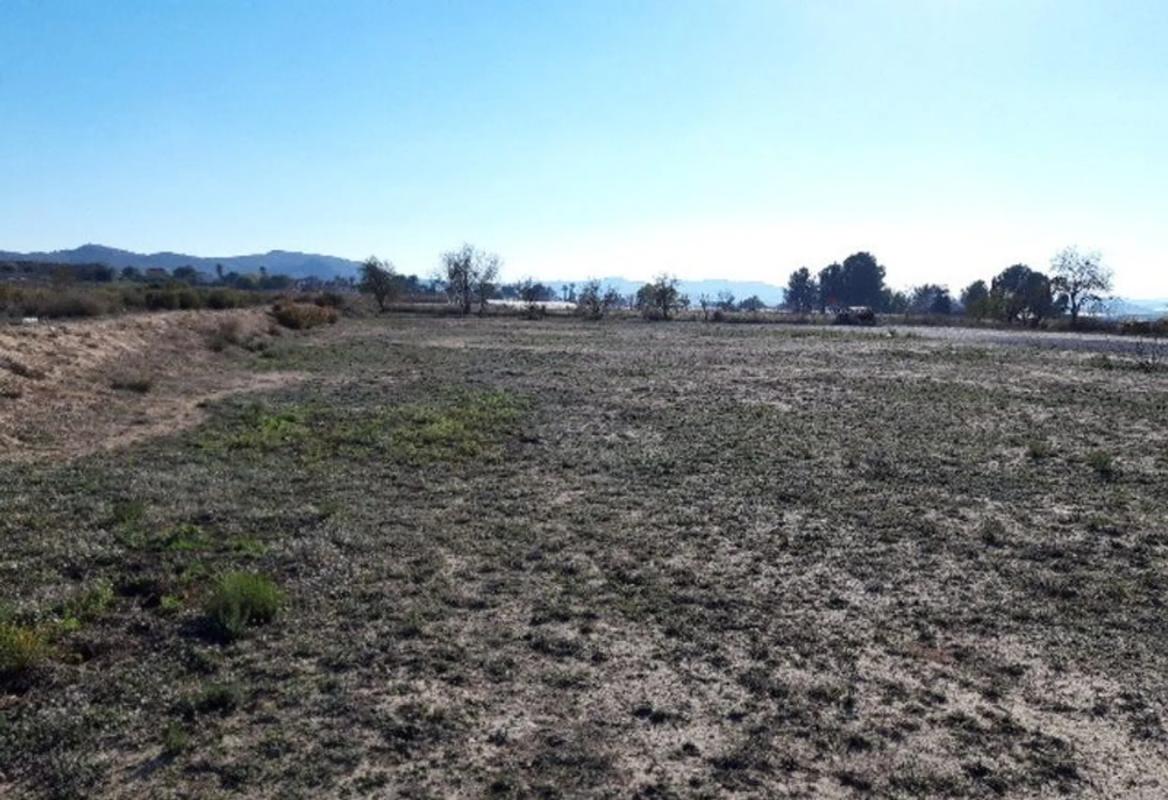 Terreno en venta en Monforte del Cid, Alicante photo 5