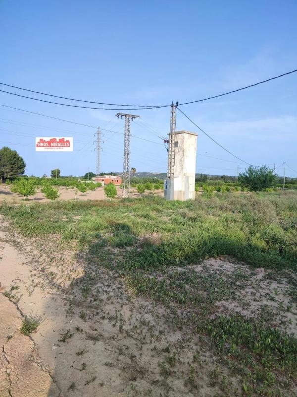 Terreno en venta en Dolores, Alicante photo 4