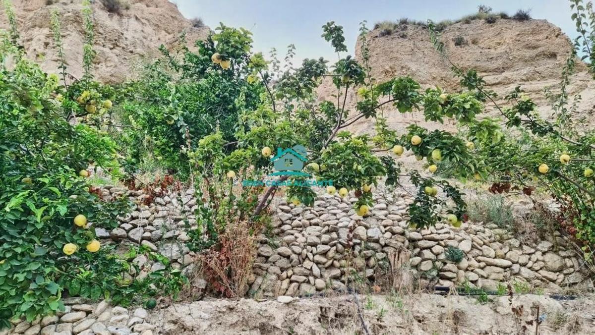 Terreno en venta en Jijona / Xixona, Alicante photo 3