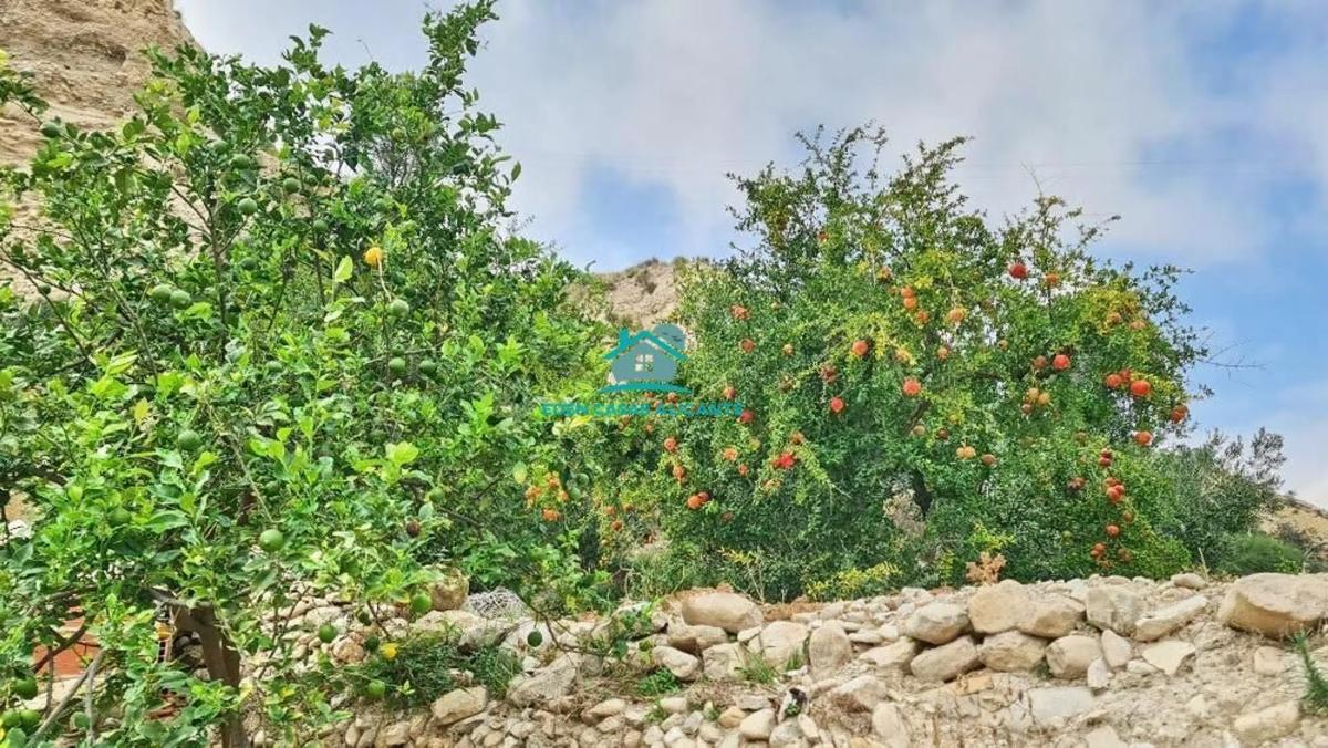 Terreno en venta en Jijona / Xixona, Alicante photo 4