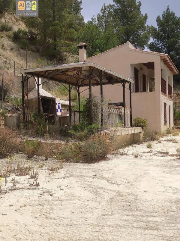 Land for sale in Monovar, Alicante photo 2