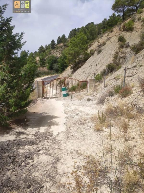 Land for sale in Monovar, Alicante photo 3