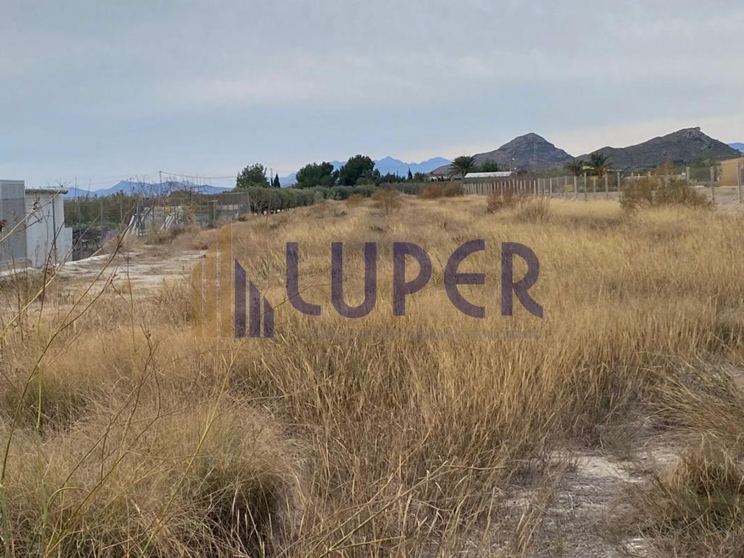 Land for sale in August, Alicante photo 2