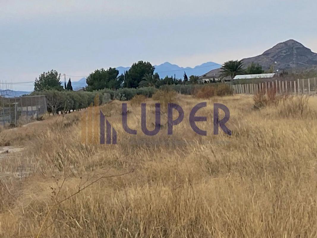 Land for sale in August, Alicante photo 3