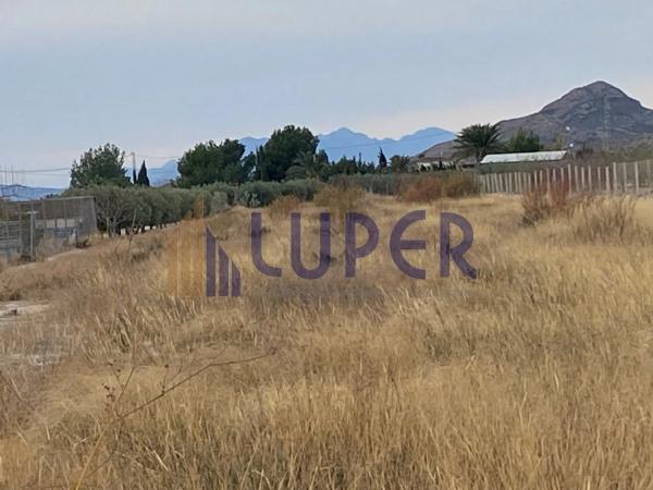 Terreno en Agost photo 3
