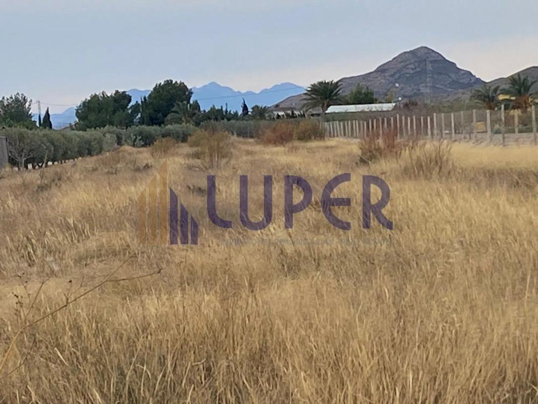 Land for sale in August, Alicante photo 4