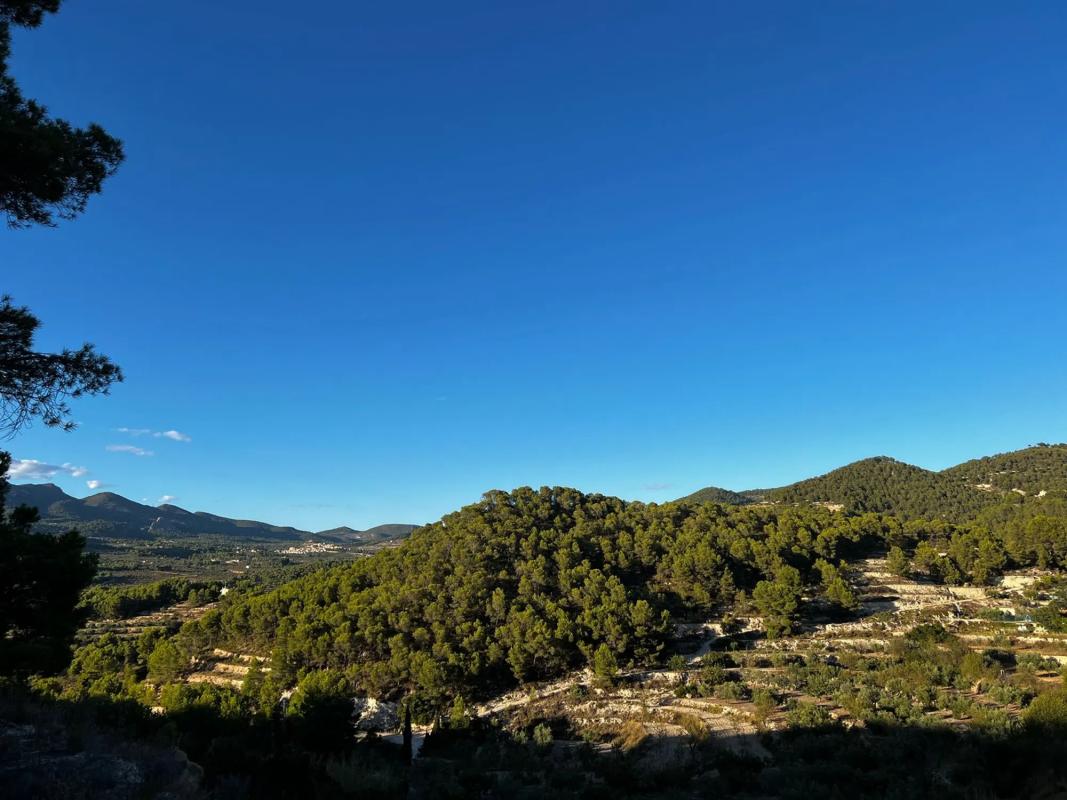 Terreno en venta en Torremanzanas, Alicante photo 4
