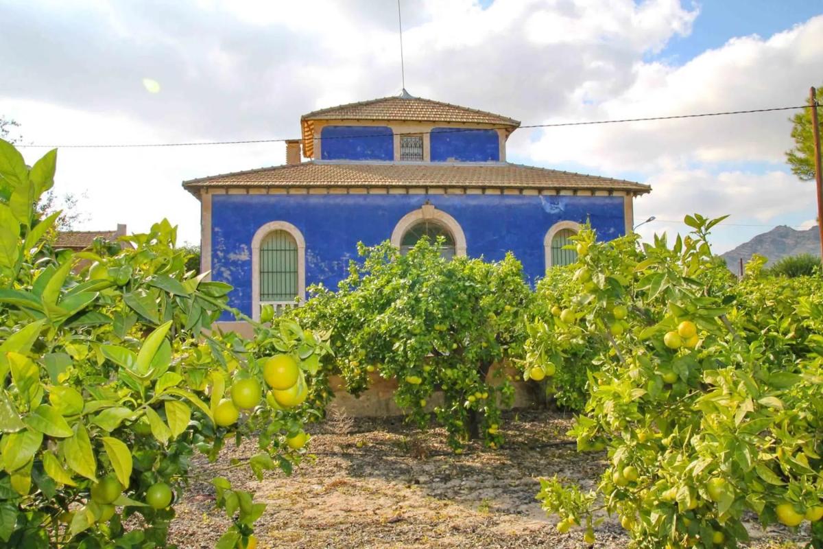 Terreno en venta en Aspe, Alicante photo 1