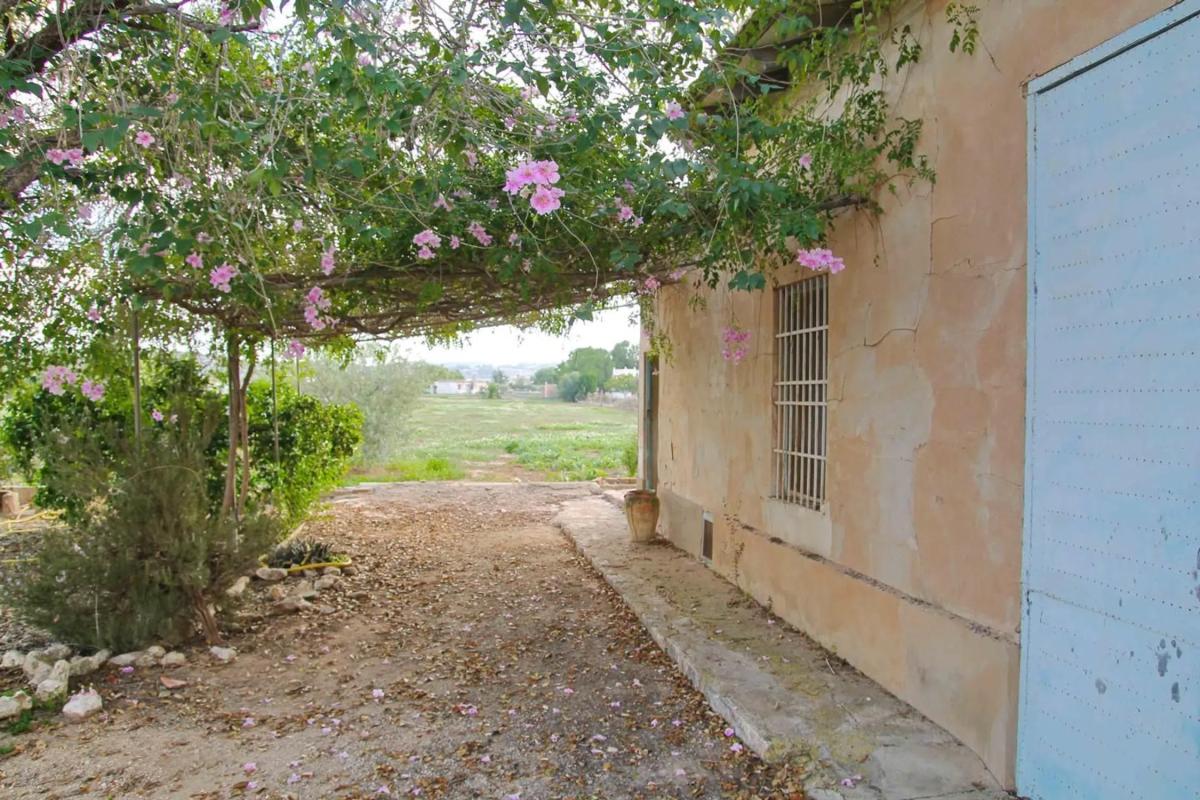Terreno en venta en Aspe, Alicante photo 2