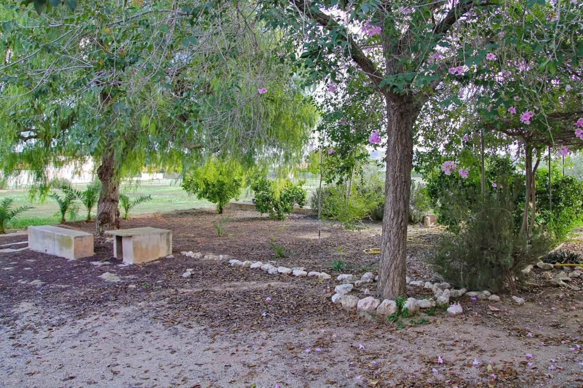 Terreno en venta en Aspe, Alicante photo 5