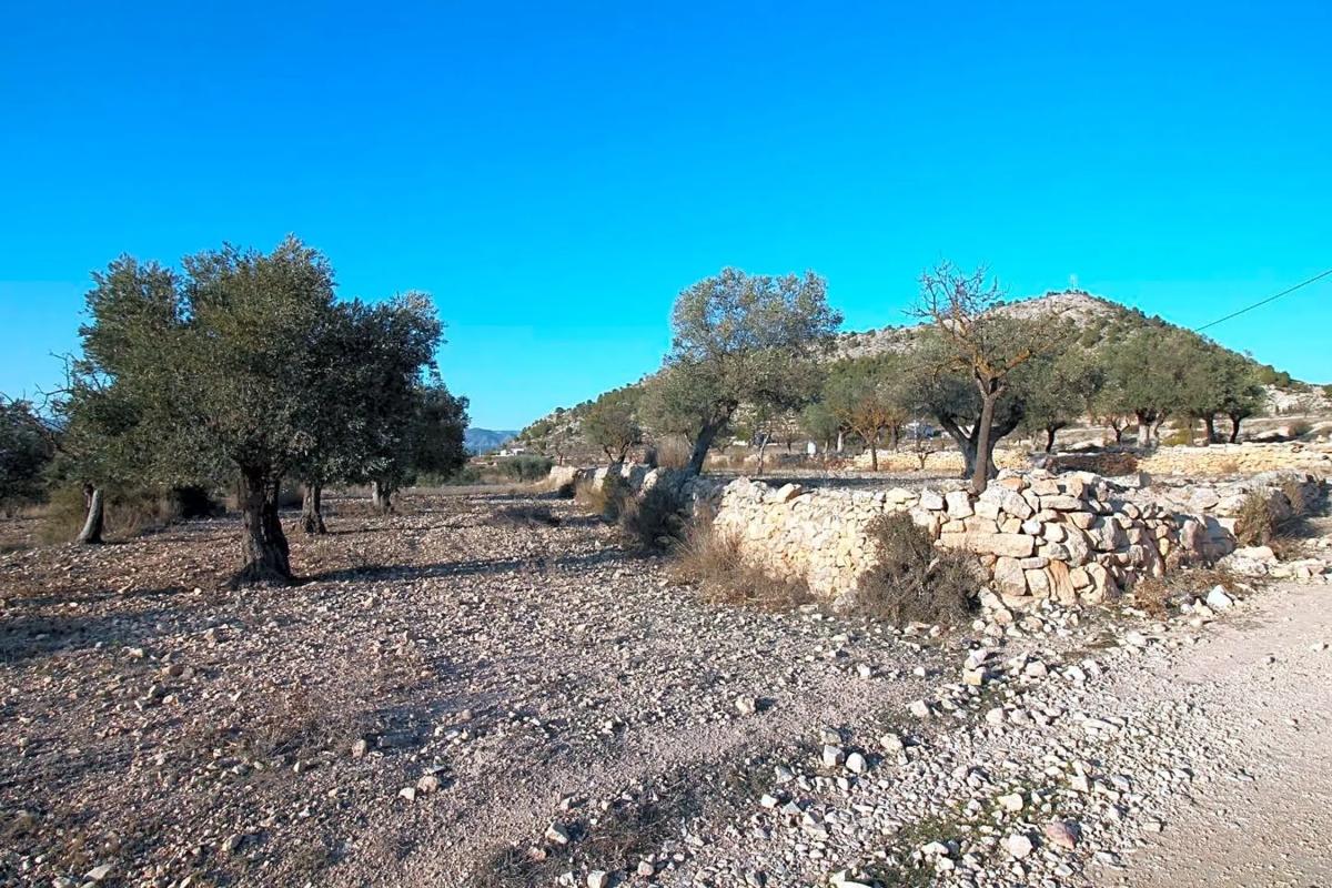 Działka na sprzedaż w Monowar, Alicante photo 5
