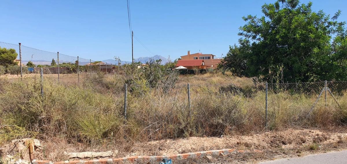 Terreno en venta en San Vicente del Raspeig, Alicante photo 3