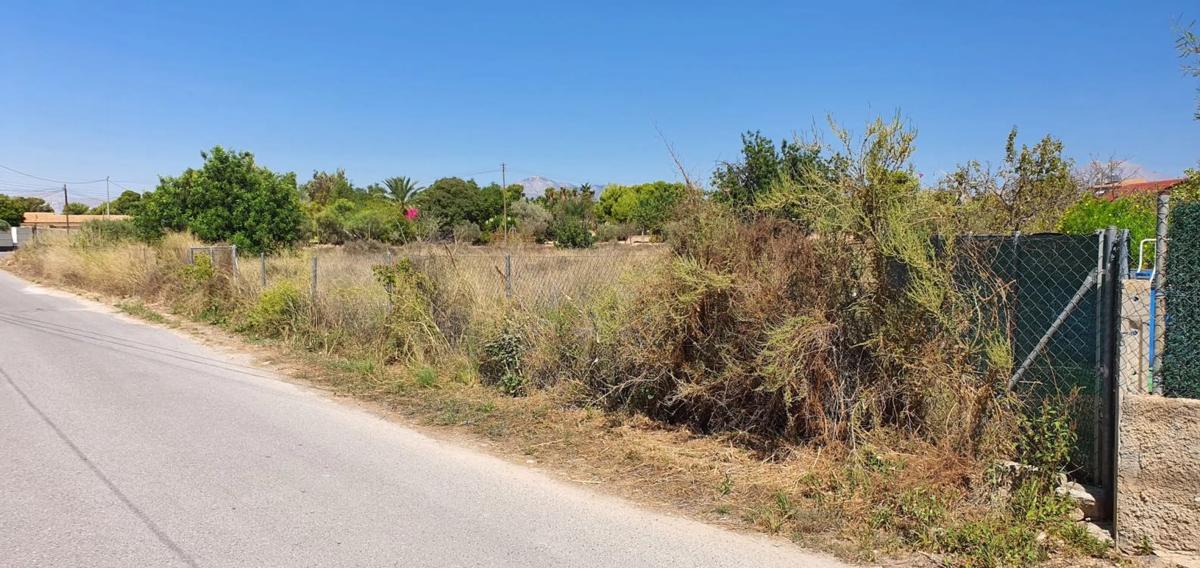 Terreno en venta en San Vicente del Raspeig, Alicante photo 5