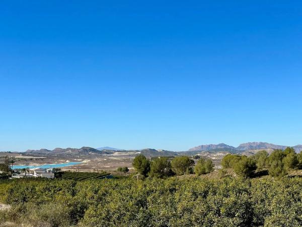 Terreno en calle Torrevieja, 951 thumbnail 1