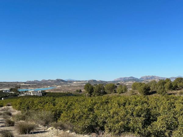 Terreno en calle Torrevieja, 951 thumbnail 2