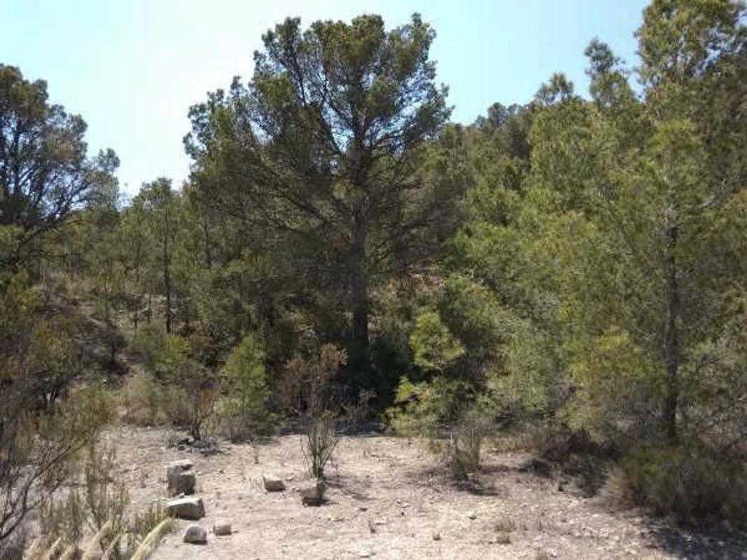 Terreno en venta en Benissa, Alicante photo 2