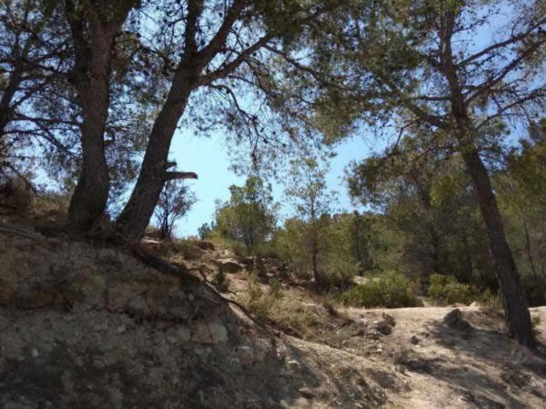 Terreno en venta en Benissa, Alicante photo 3
