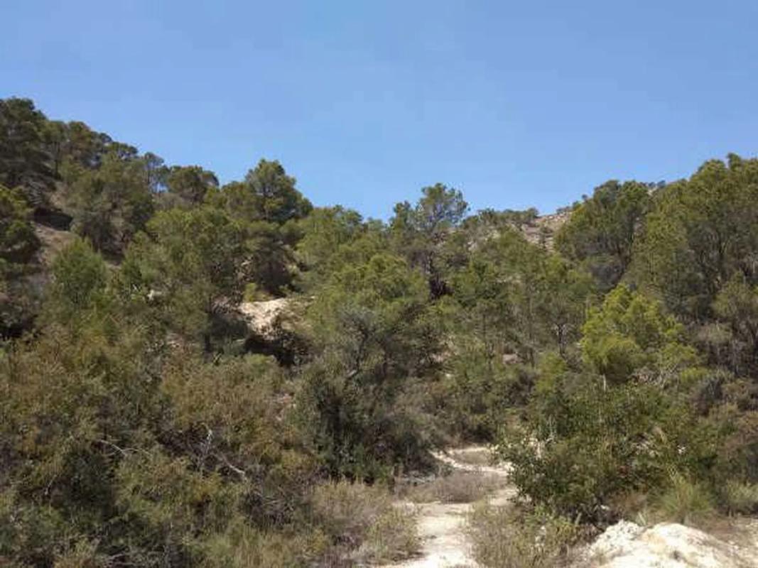 Terreno en venta en Benissa, Alicante photo 5