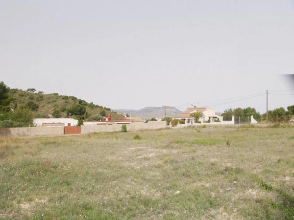Terreno en Petrer photo 3