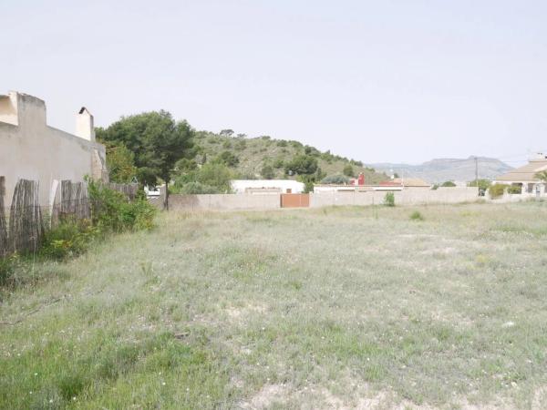 Terreno en Petrer photo 4