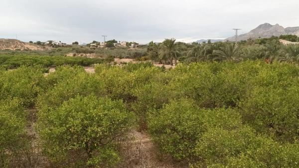 Terreno en Cv-872 s/n photo 1