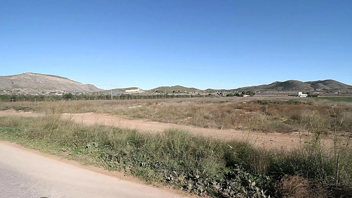 Land for sale in Hondón de las Nieves, Alicante photo 2