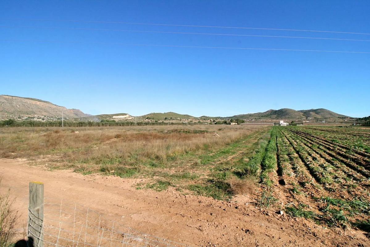 Land for sale in Hondón de las Nieves, Alicante photo 3