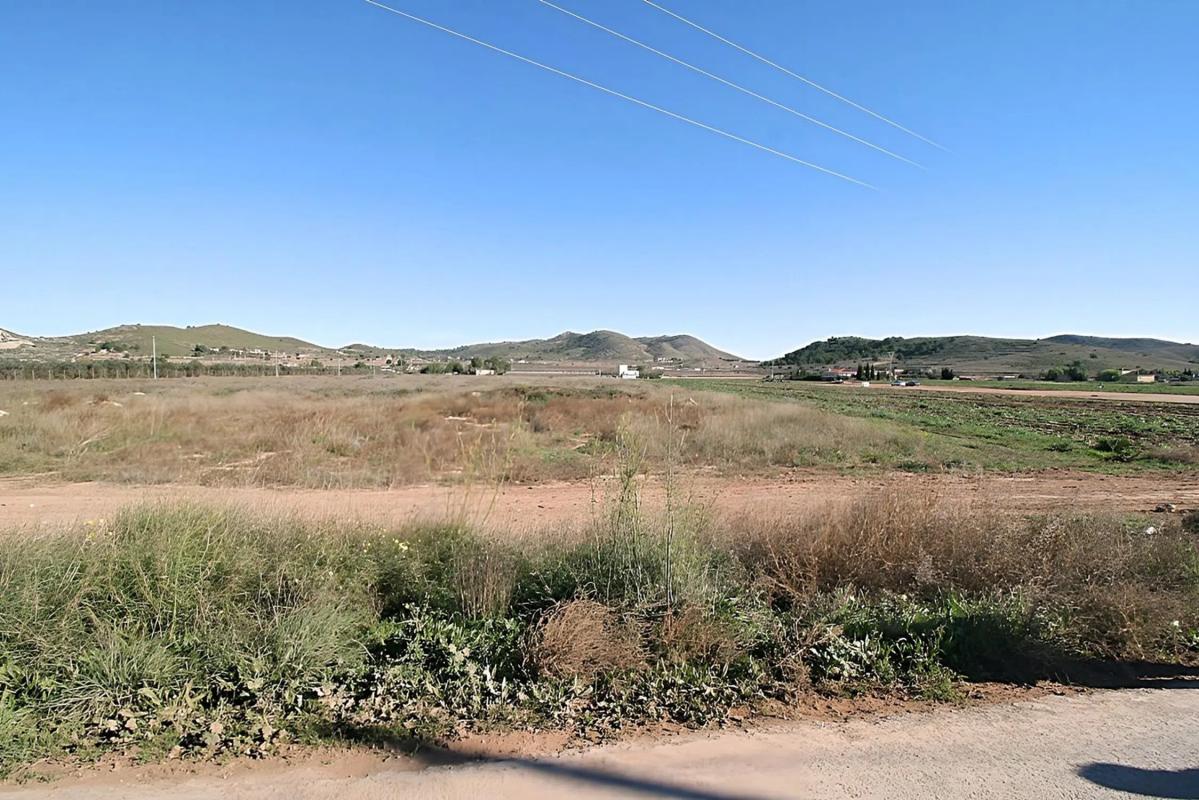 Land for sale in Hondón de las Nieves, Alicante photo 4