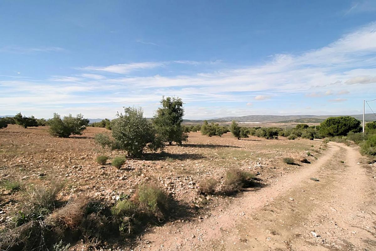 Terreno en venta en Biar, Alicante photo 1