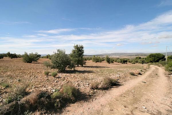 Terreno en Biar photo 1