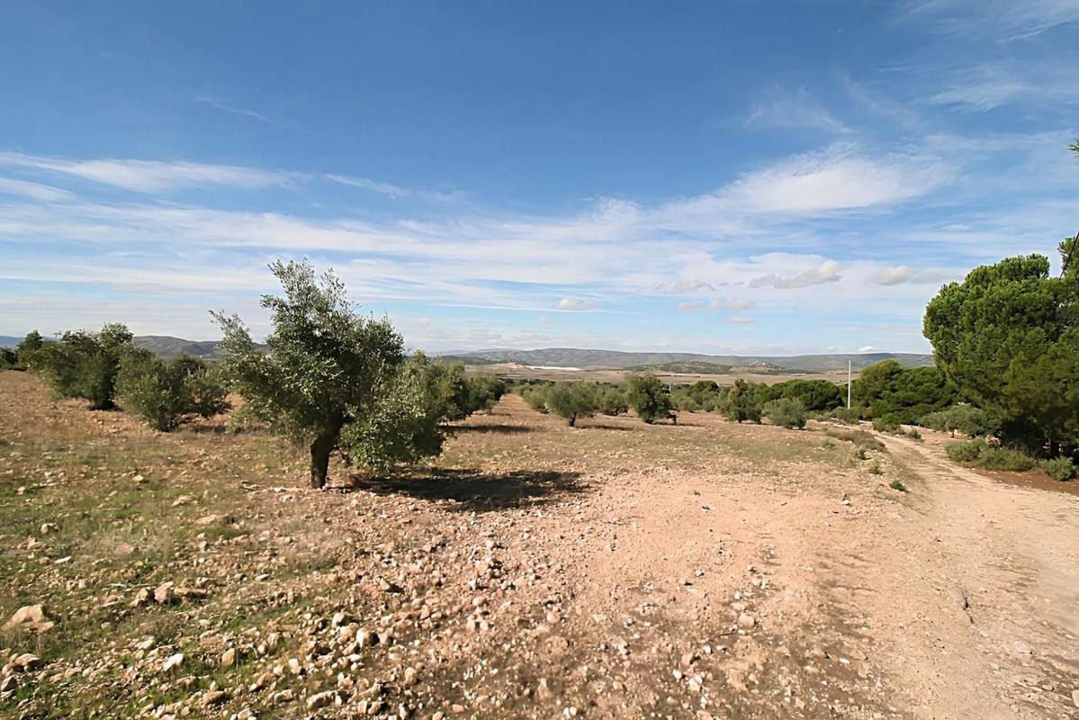 Terreno en venta en Biar, Alicante photo 2