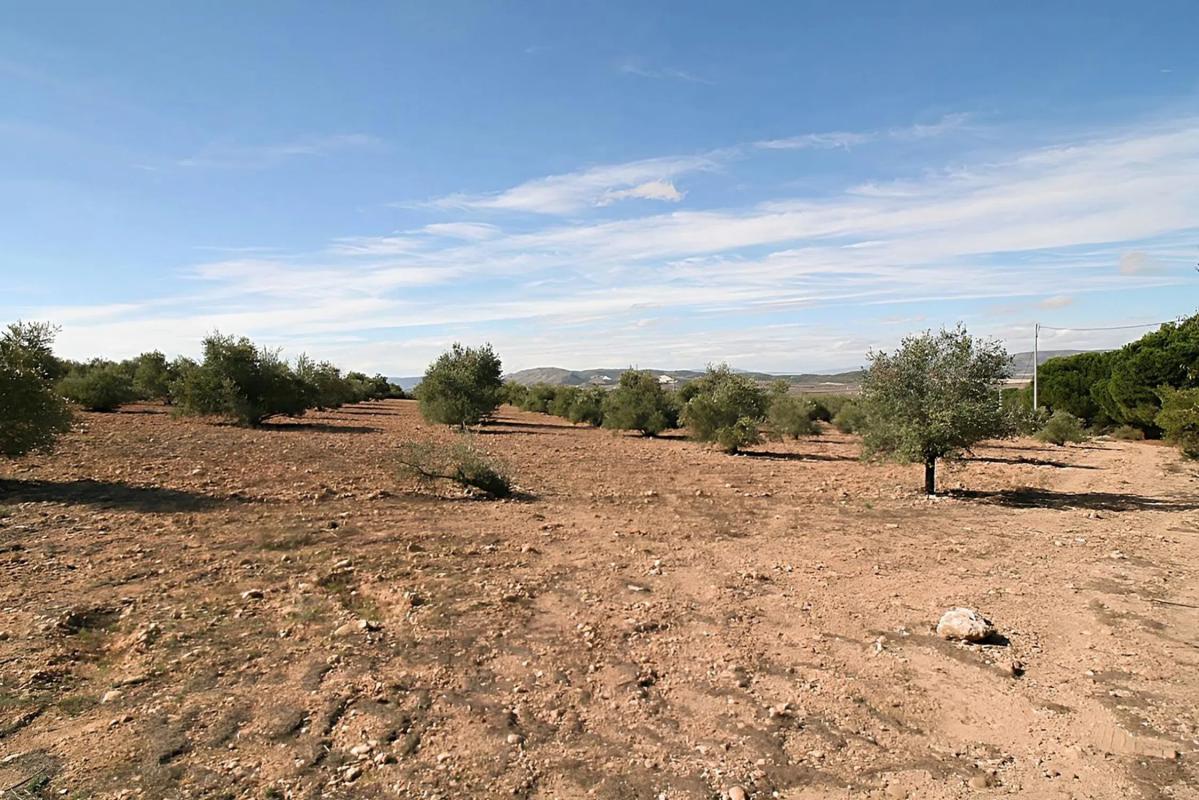 Terreno en venta en Biar, Alicante photo 4