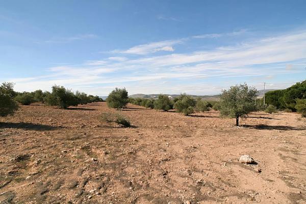 Terreno en Biar photo 4